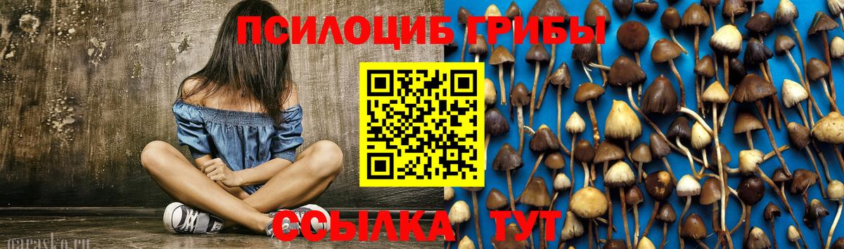 Псилоцибиновые грибы Psilocybine cubensis  Галлюциногенные грибы Cubensis  Саянск  Вход с VPN 